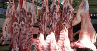 أسعار اللحوم في مطروح اليوم 22-6-2025: تحديثات السوق والمحلات
