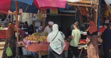 استقرار أسعار الخضراوات والفاكهة بأسواق الوادي الجديد اليوم